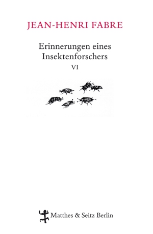 Erinnerungen eines Insektenforschers VI